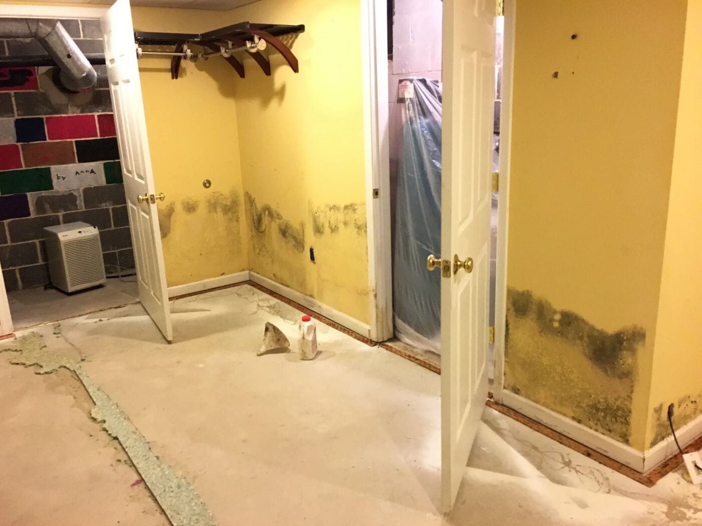 Basement Mold Inspection in York, PA