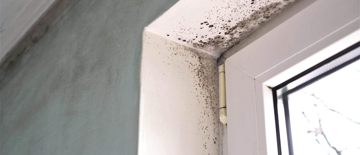 Leaks inside walls causing mold growth in a York, PA home