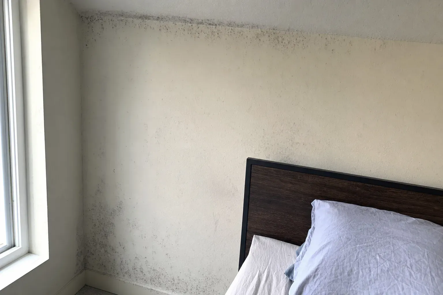 Faint gray-black mold spotting and mottled discoloration on a bedroom wall near the ceiling corner, documented during a York County home inspection.